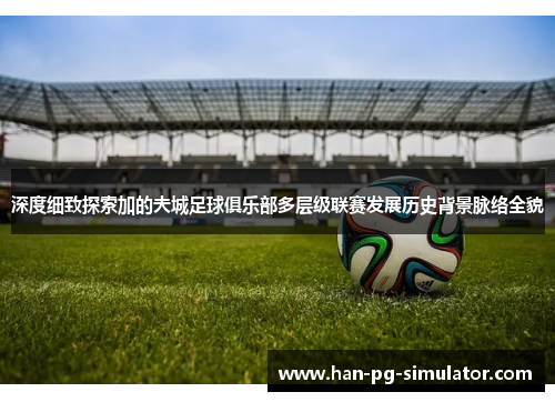 深度细致探索加的夫城足球俱乐部多层级联赛发展历史背景脉络全貌