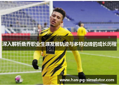 深入解析桑乔职业生涯发展轨迹与多特边锋的成长历程 深入解析桑乔职业生涯发展轨迹与多特边锋的成长历程