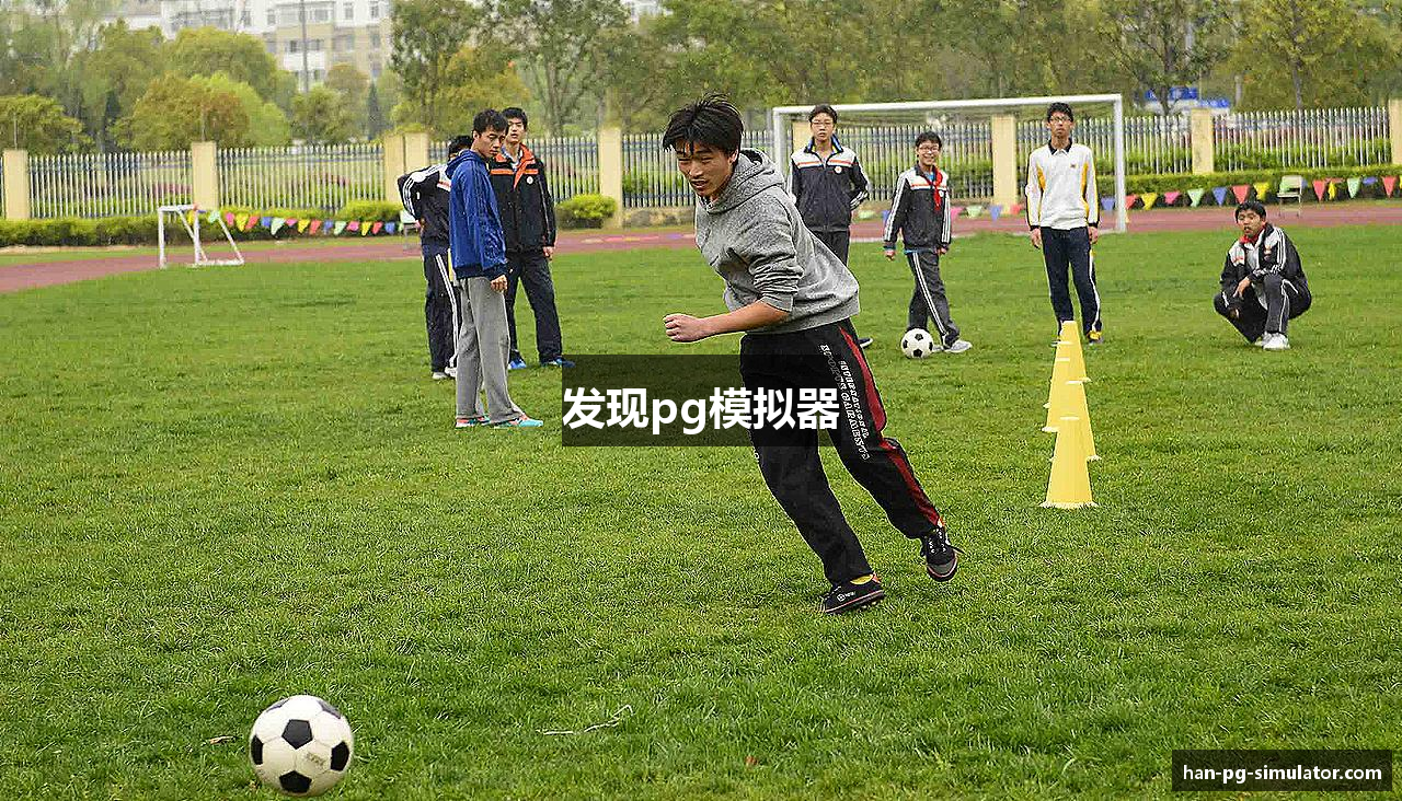 发现pg模拟器